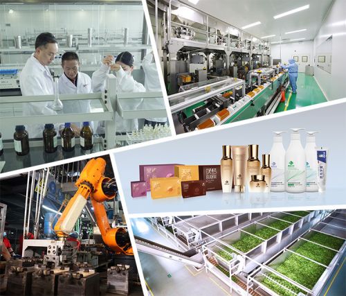 理想華萊兩項(xiàng)茶葉加工設(shè)備技術(shù)獲國(guó)家實(shí)用新型專利授權(quán)